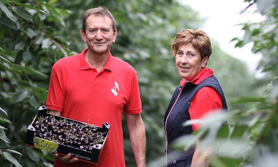 Jo en Monica Schaepkens in hun kersenboomgaard in Klimmen