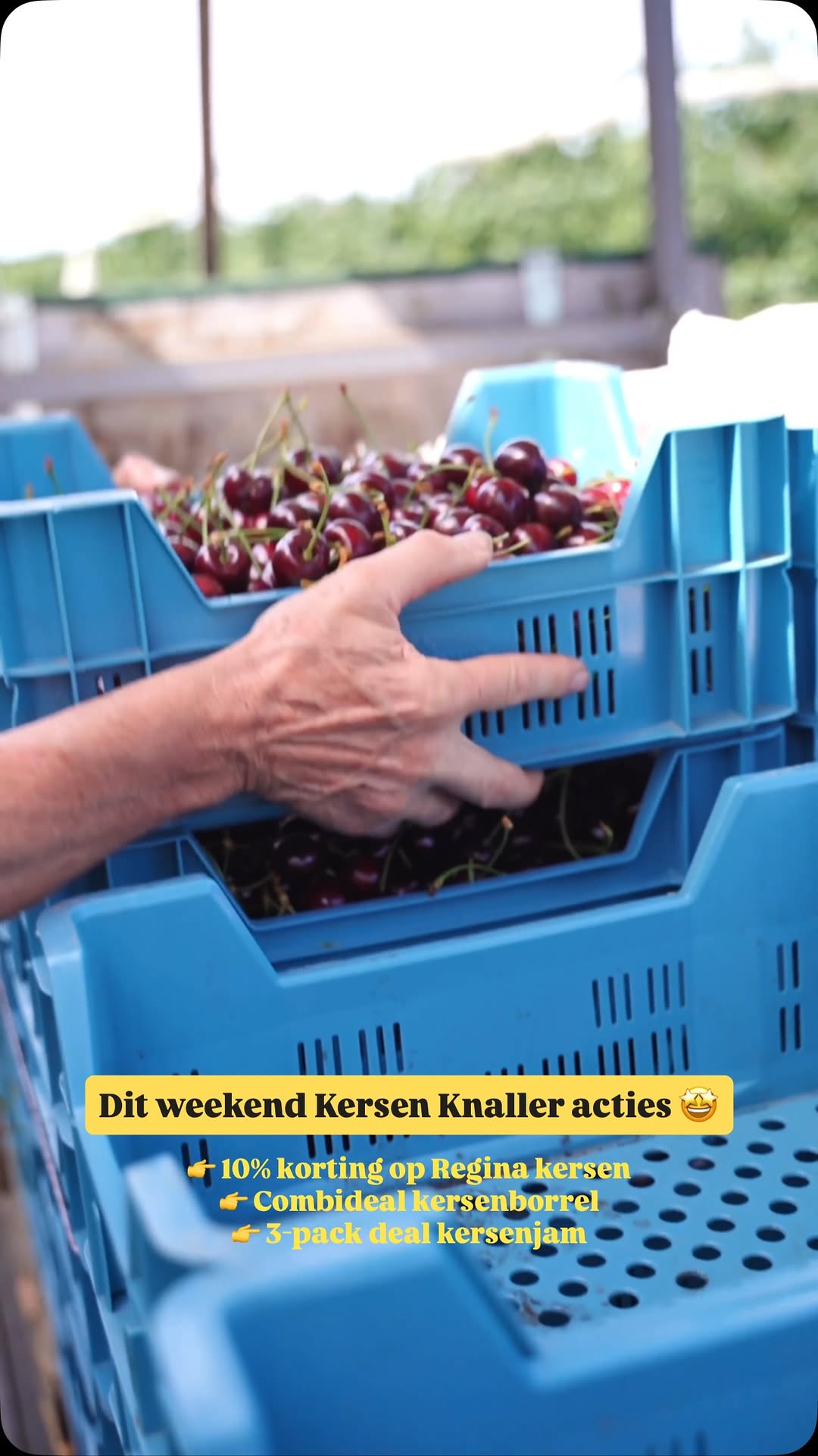 Kersen Knaller Weekend: alleen vrijdag en zaterdag