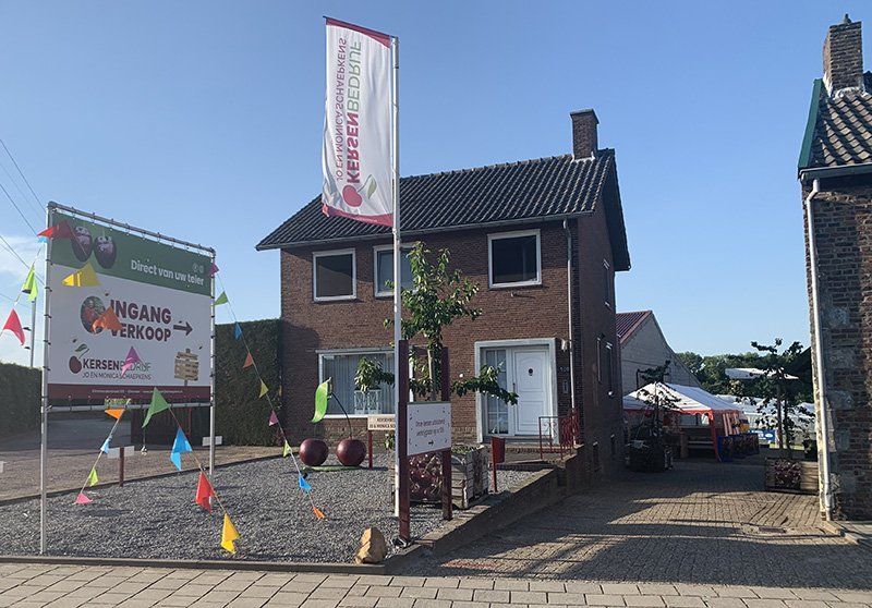 Kersen kopen bij de boer