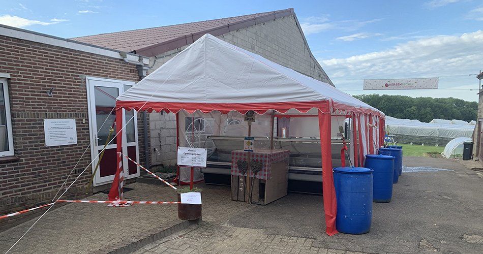 Kersenverkoop start maandag