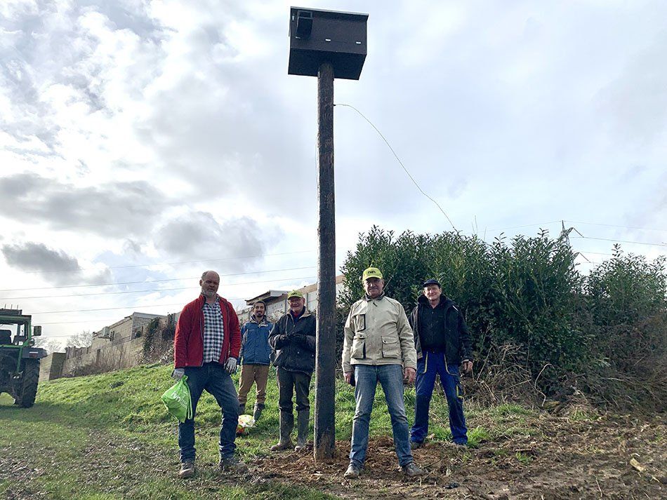 Uilenkasten geplaatst door de uilenwerkgroep van IVN Limburg